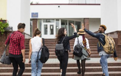 Les instances de l&rsquo;enseignement catholique